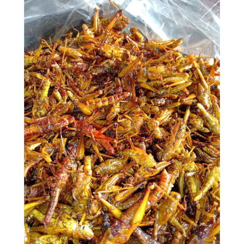 

belalang goreng