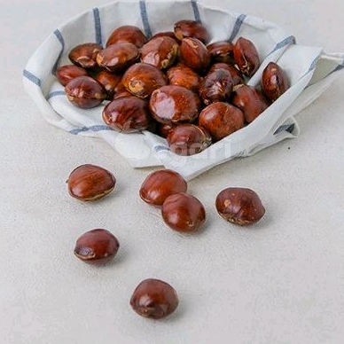 

Jengkol 500 gram / pack Sayur Segari