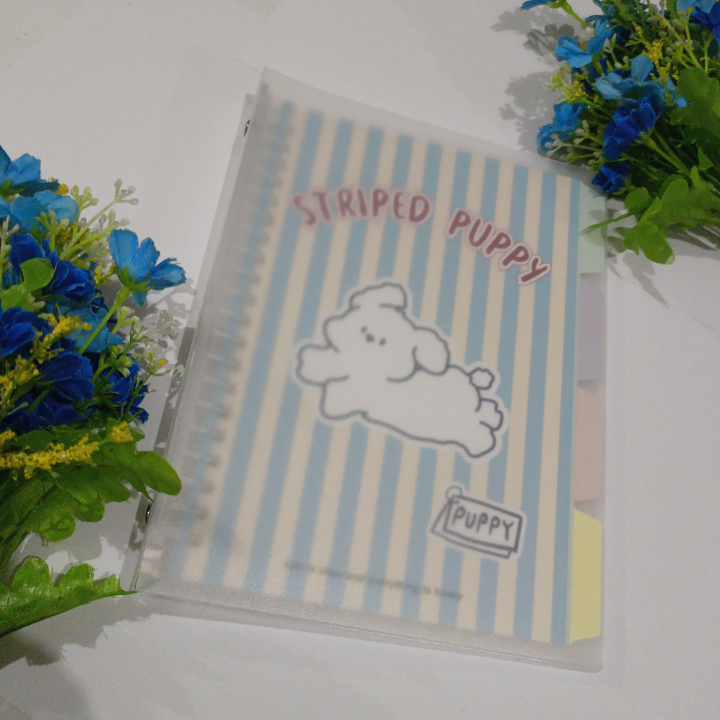 

Binder wengu stripted puppy B0248