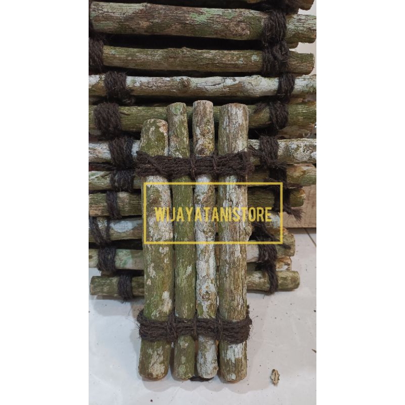 Papan Kayu Kopi Anggrek | Media Tempel Anggrek