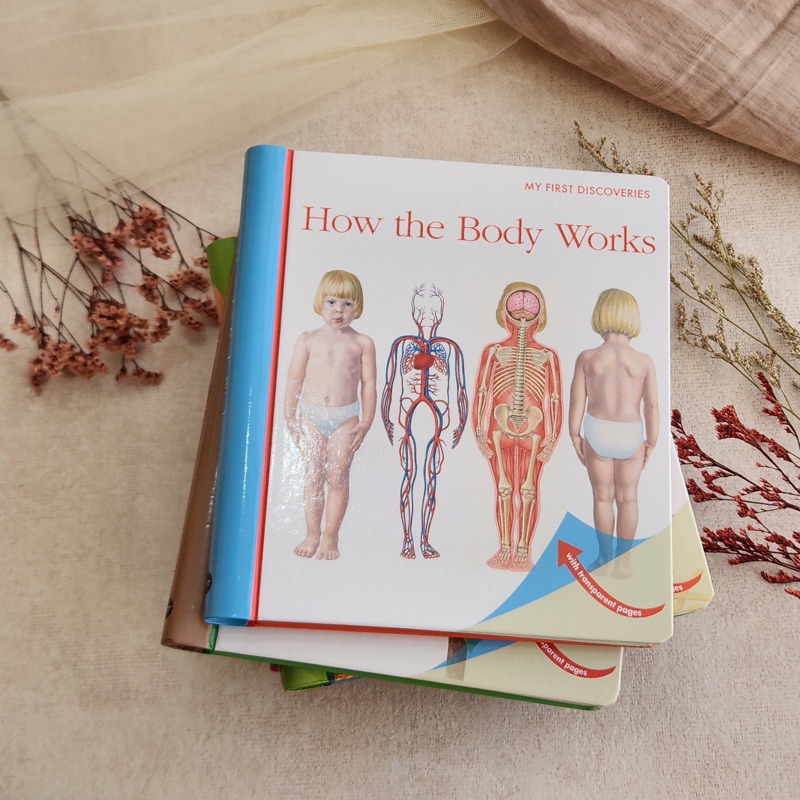 MFD - How The Body works | My first discovery book original