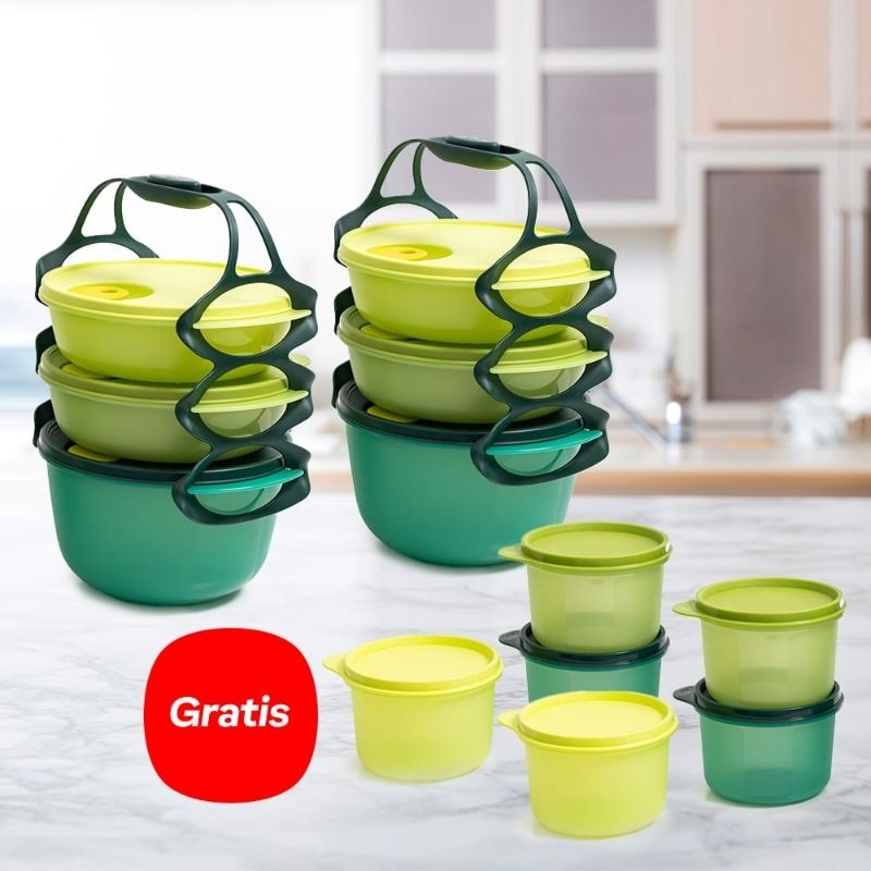 Carry all bowl set |tupperware