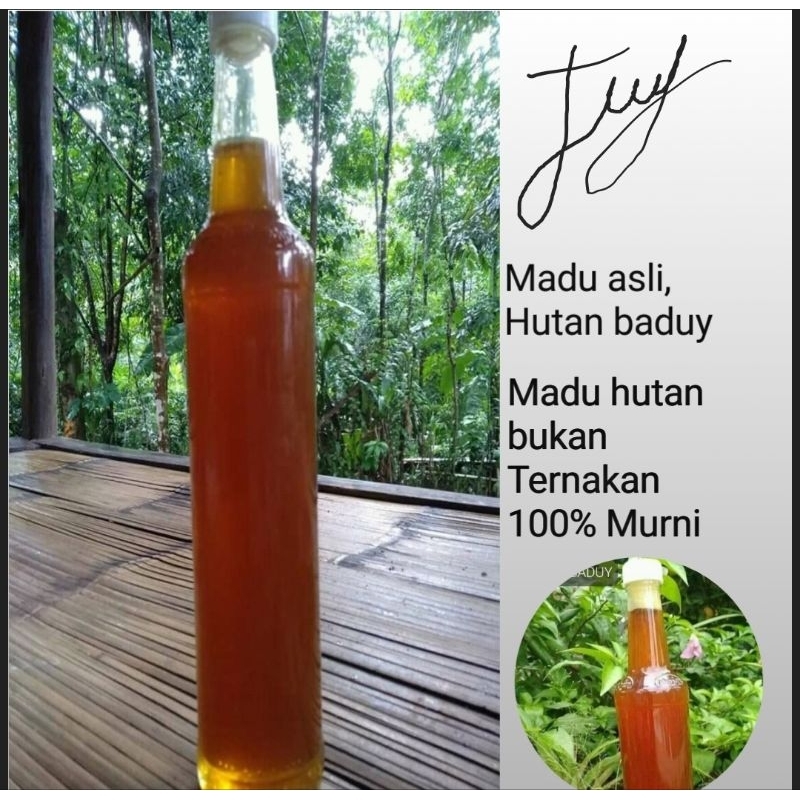

madu asli madu hutan pedalaman suku baduy