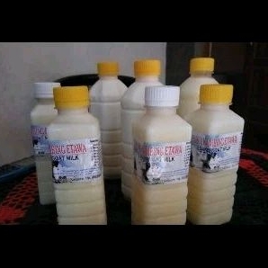 

Susu Kambing Etawa