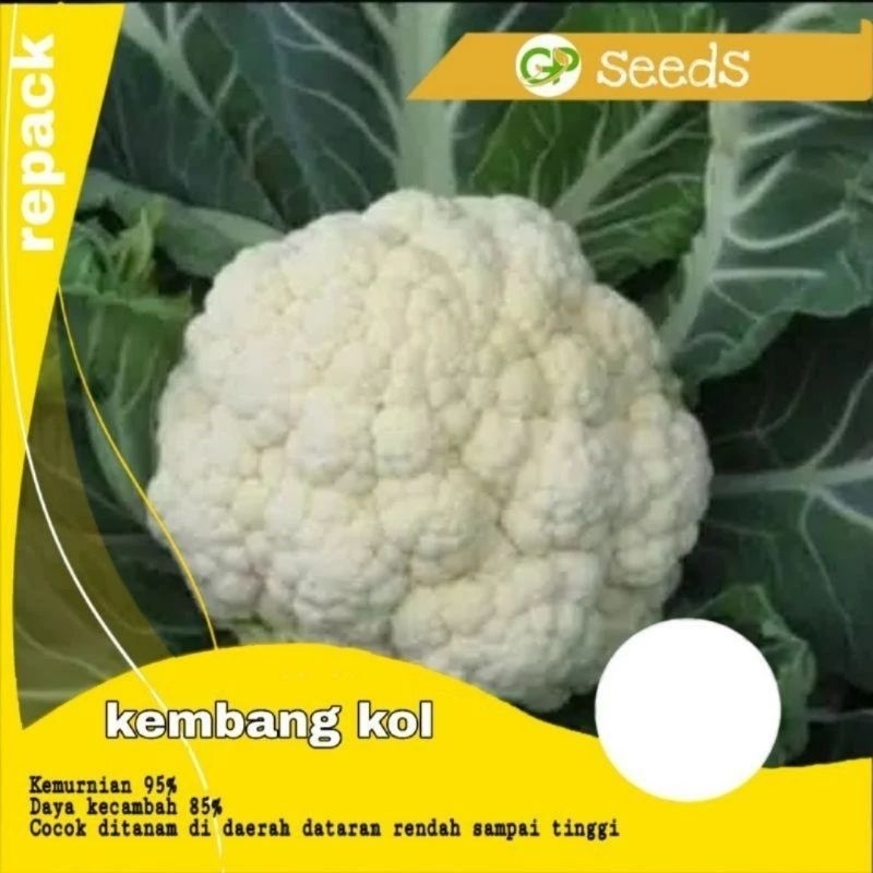 50 benih kembang kol kemasan ekonomis | benih sayuran | bibit sayuran