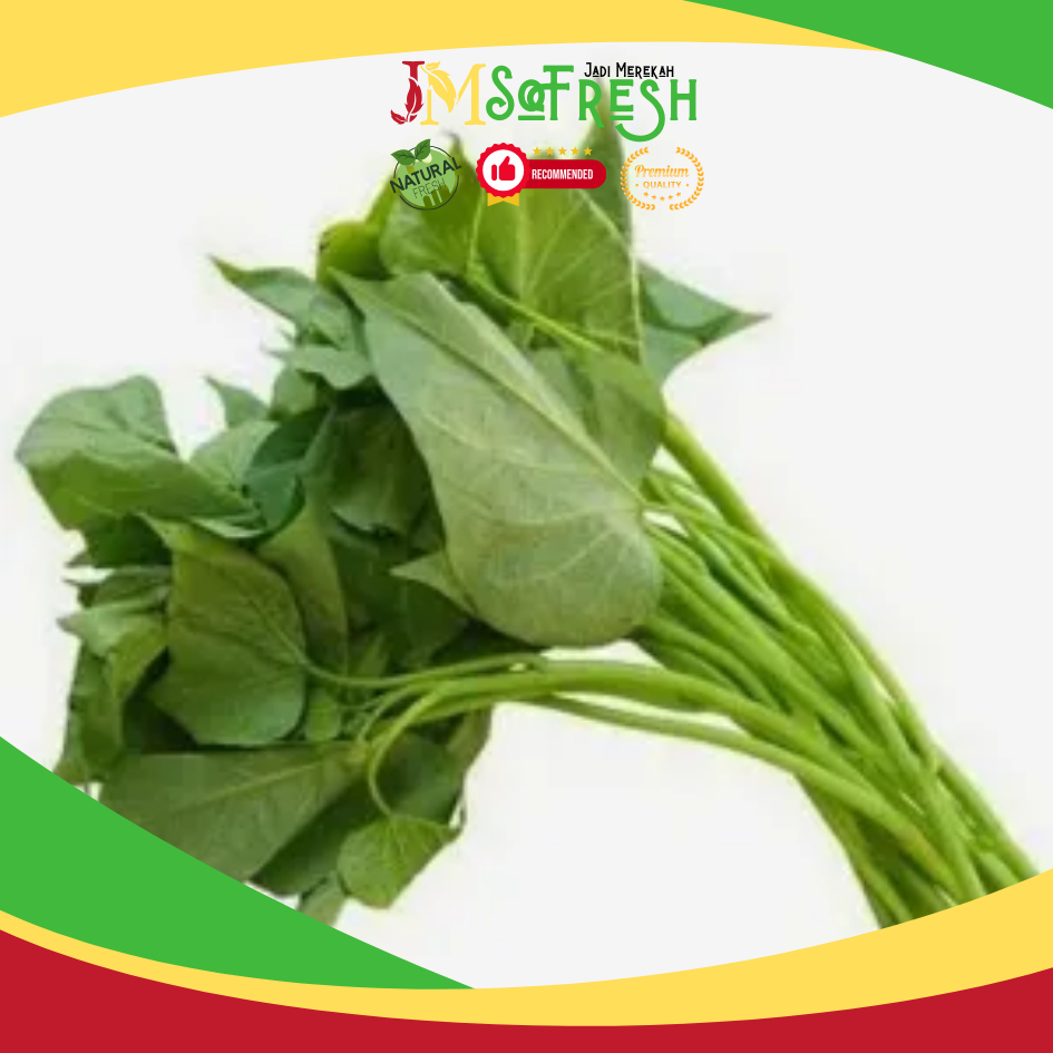 

[JM_SoFresh] Sayur Daun Ubi Muda Fresh / Sayur Daun Ketela Rambat Segar 1Ikat