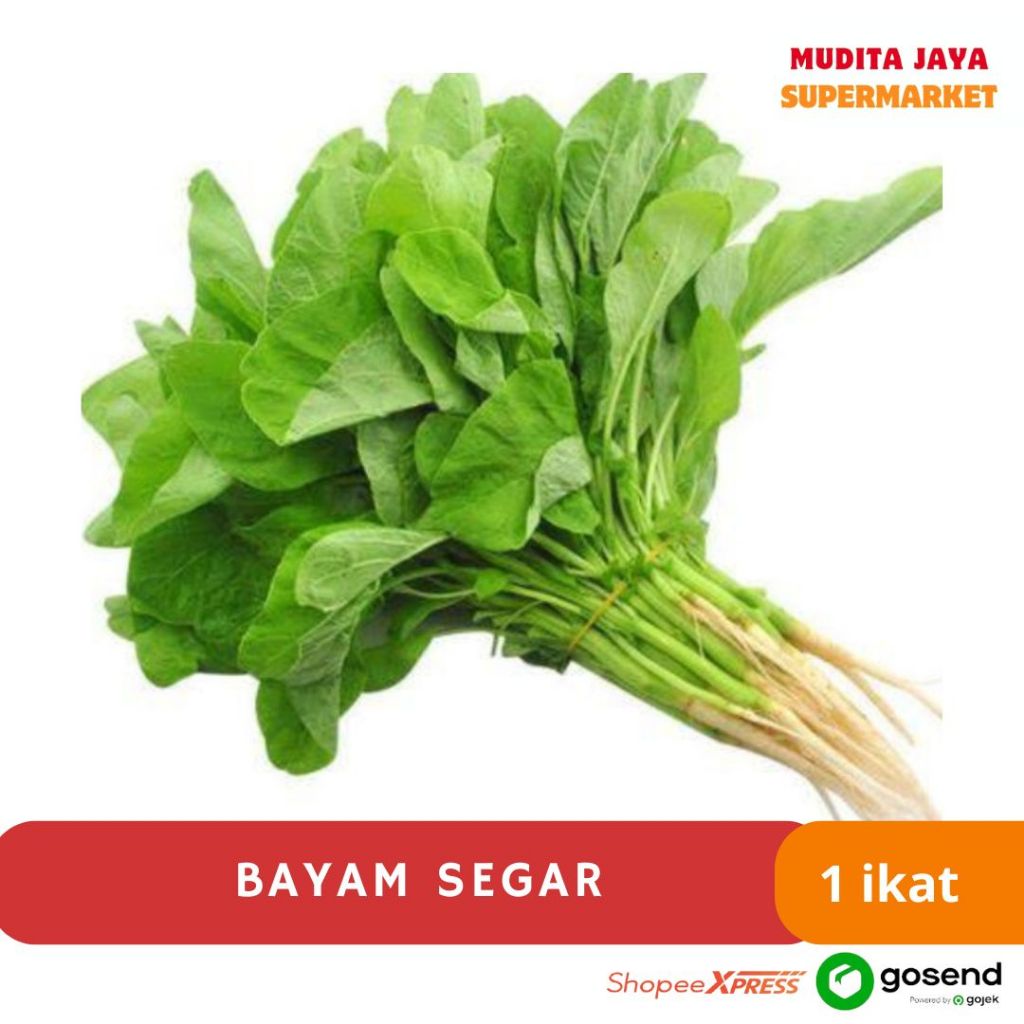 

Sayur Bayam Segar - 1 Ikat