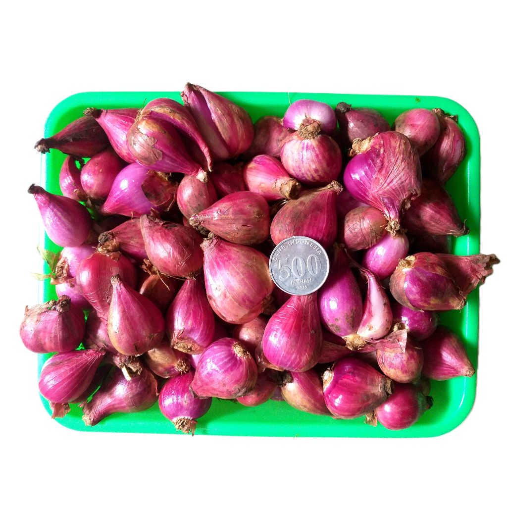 

Bawang Merah Besar