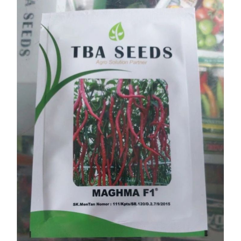 benih cabe keriting hibrida F1 maghma isi 10 gr