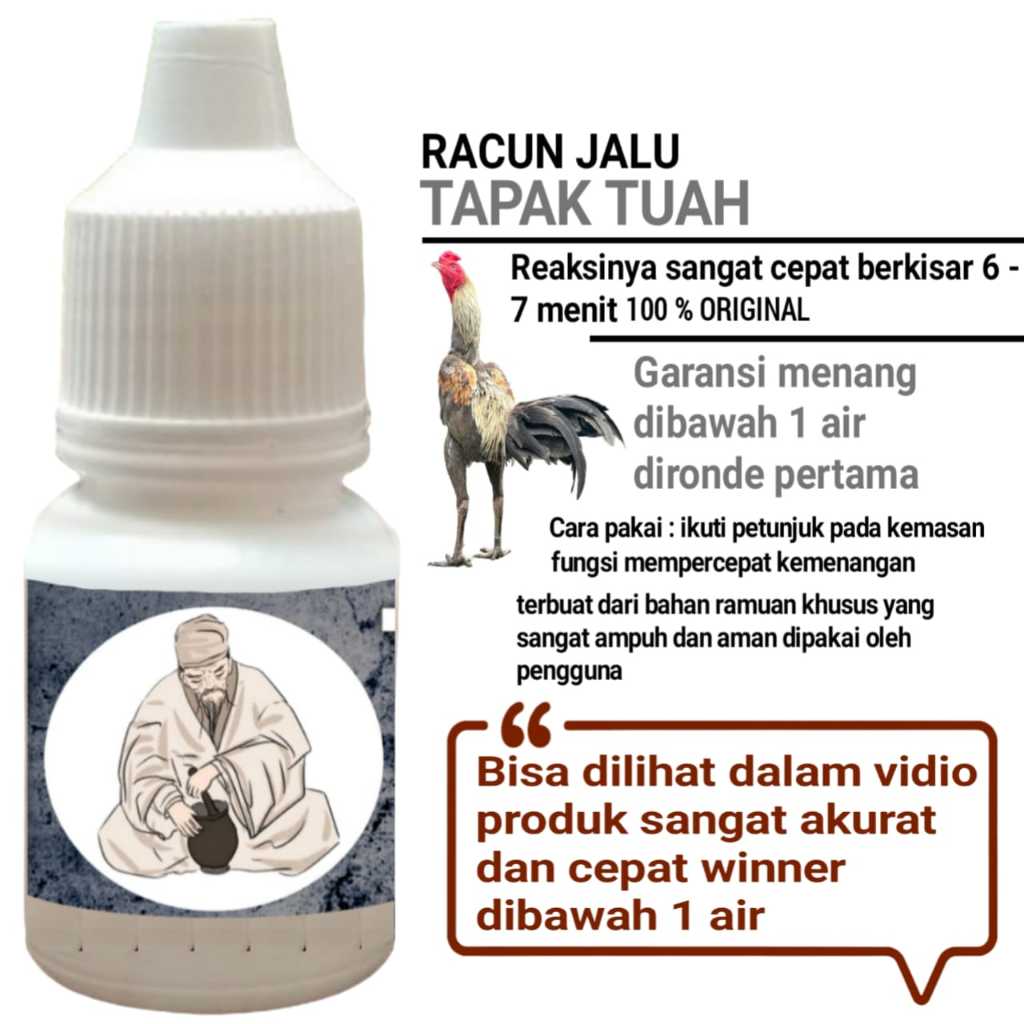 ayam bangkok pakhoy murah jamu jago aduan racun tapak tuah