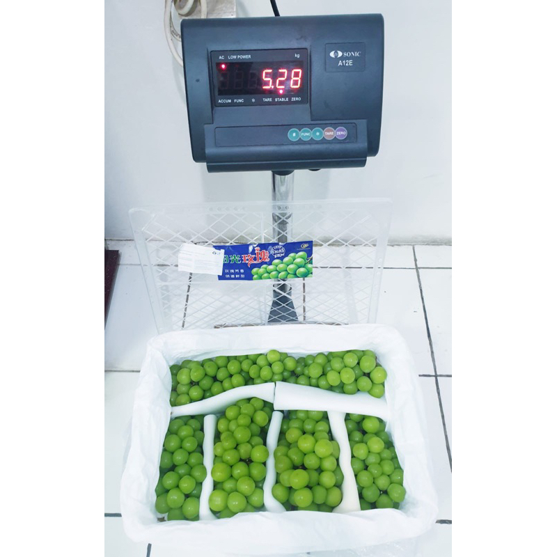 

- Shine muscat 5kg curah