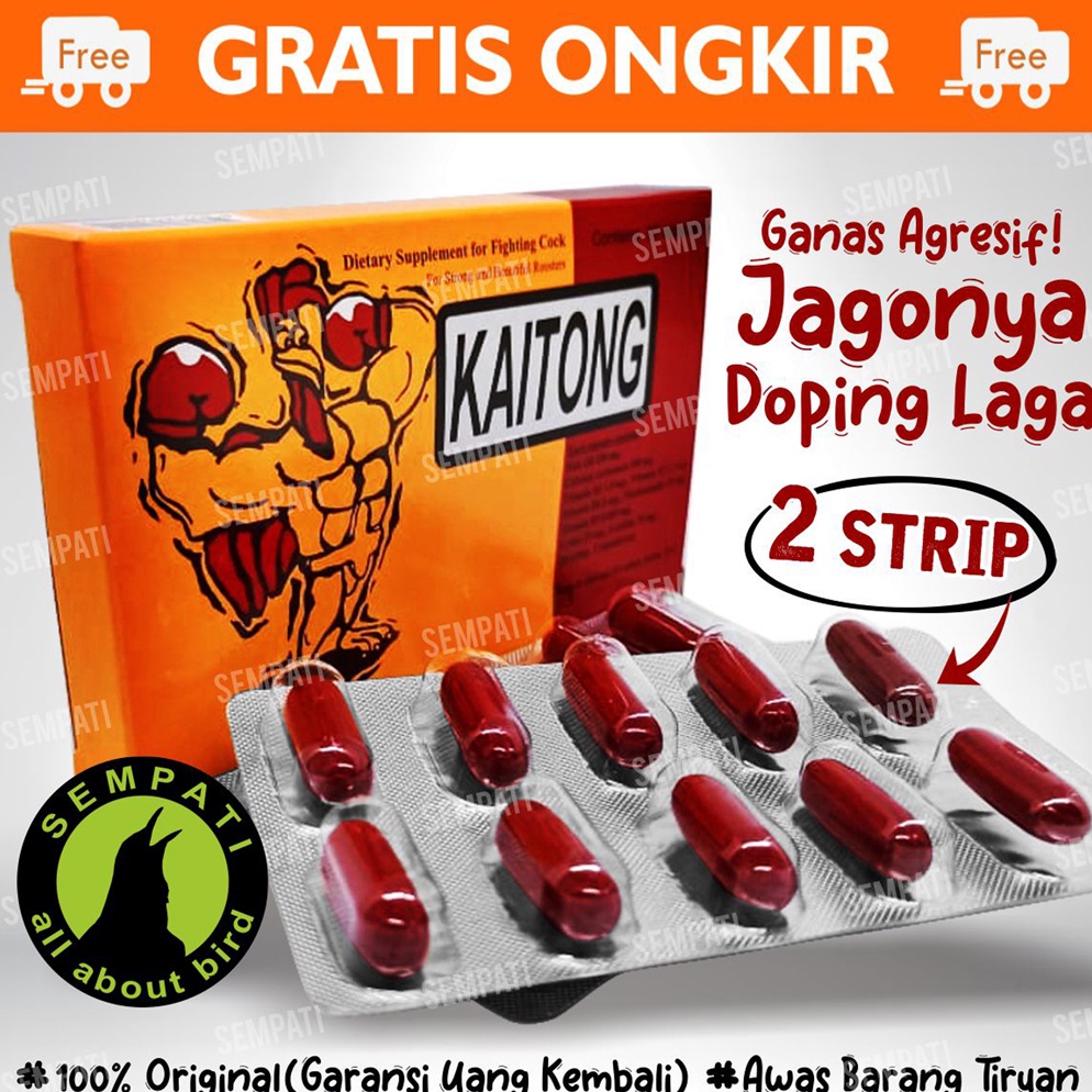 66 STOK READY KAITONG SUPLEMEN AYAM PETARUNG DOPING IMPORT JAMU AYAM JAGO ADUAN BANGKOK KAITONG THAI