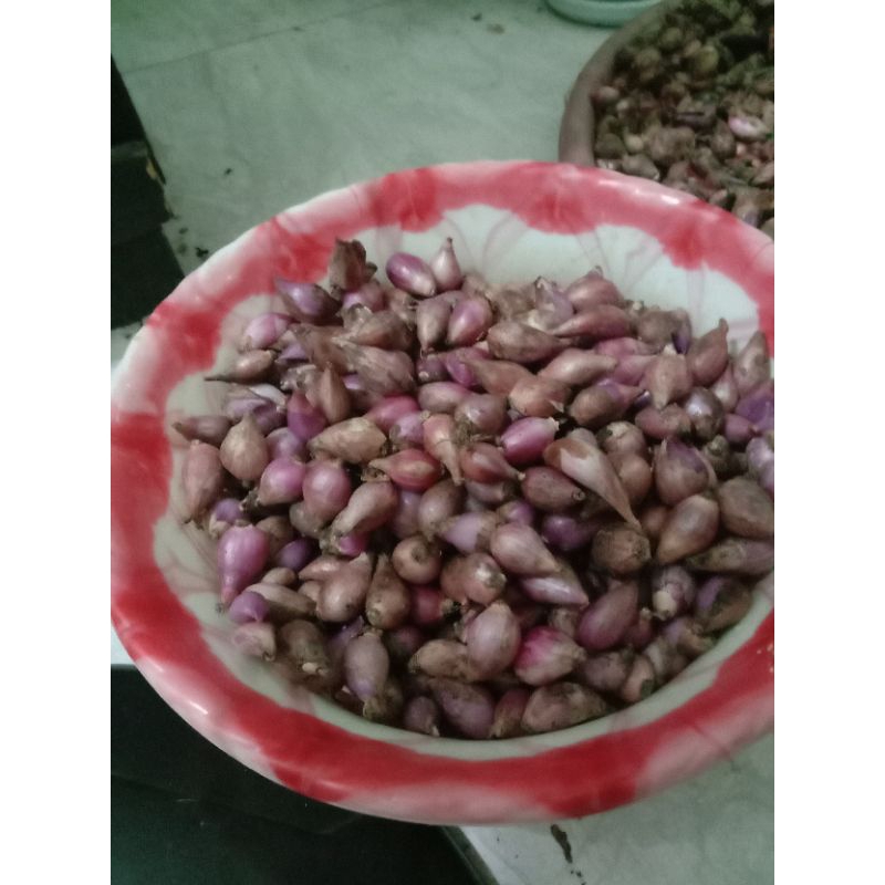 

Bawang Merah Berebes