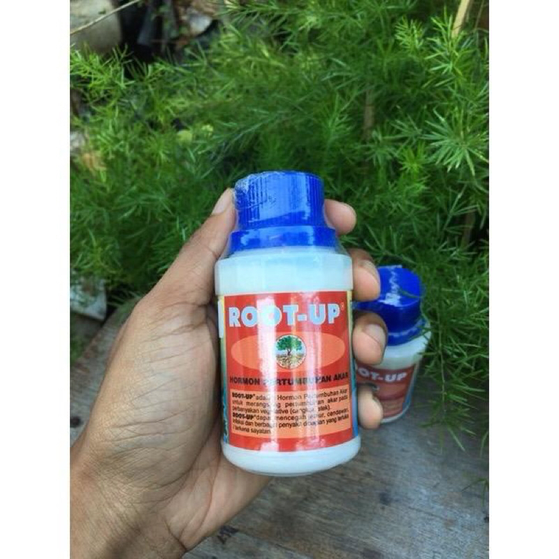 ROOT UP PENUMBUH AKAR 100ML  ROOT