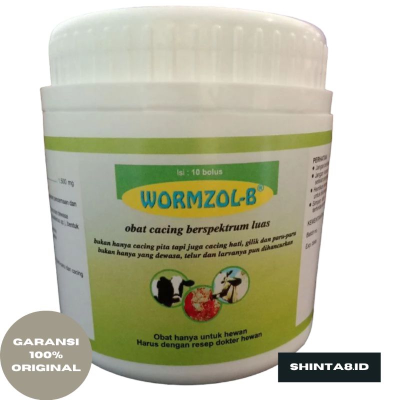 WORMZOLE-B isi 10 obat cacing berspektrum luas