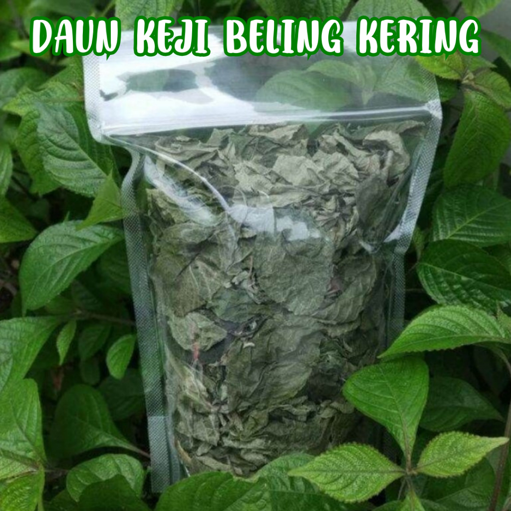 

Obat Diabetes Daun Keji Beling