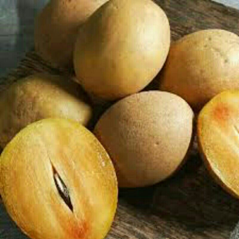 

sawo asli pangandaran.