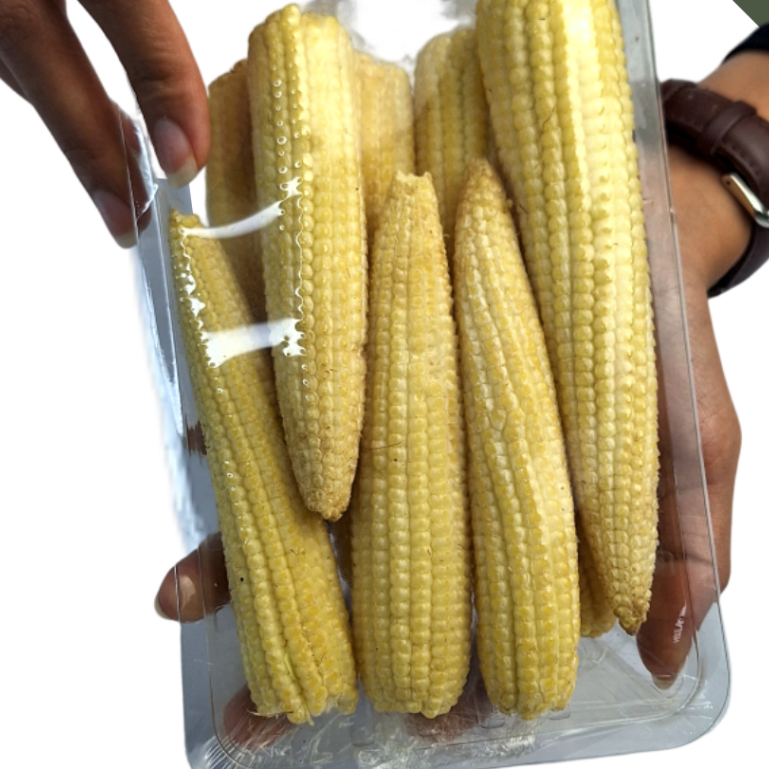 

SAYUR SEGAR - BABY CORN/ JAGUNG MUDA/ JAGUNG ACAR 500 GR/ 1 KG