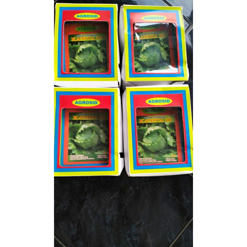 bibit/benih head letuce kanita 10gr original 100% kemasan pabrik