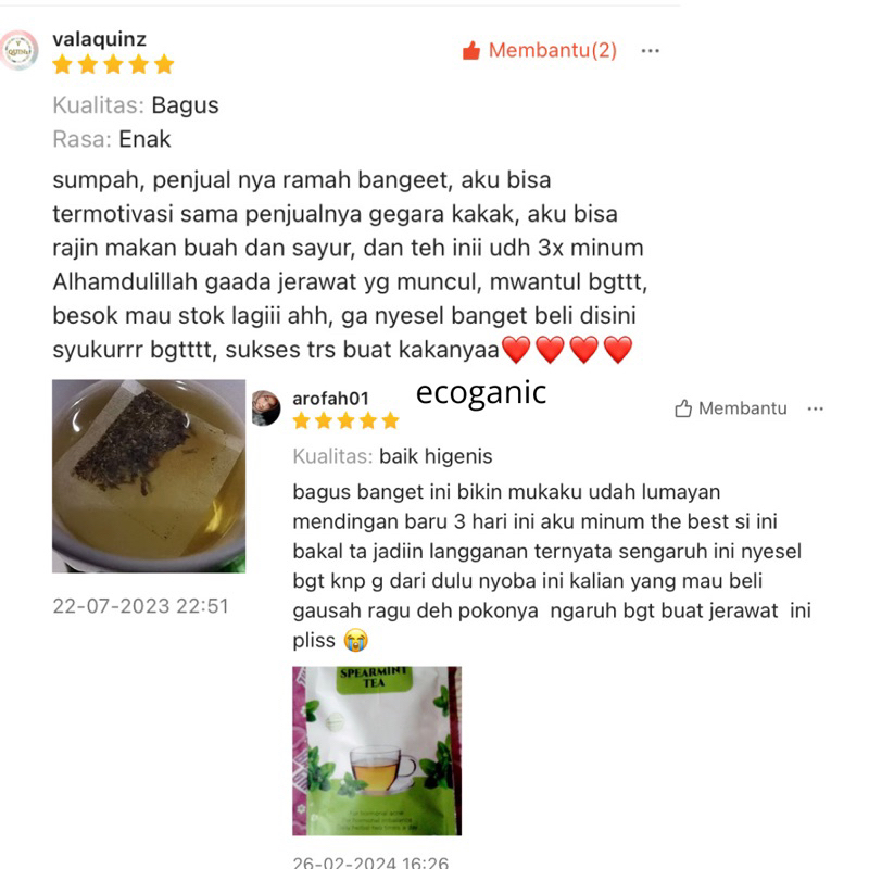 

Ay00! ECOGANIC Spearmint Tea Jerawat Hormonal Isi 30 Kantong Izin Dinkes