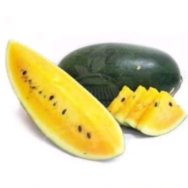 

10 Bibit/benih biji Semangka daging kuning lonjong kulit gelap