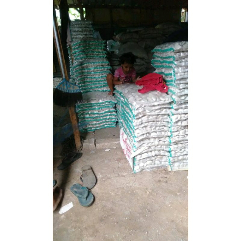 BATU KORAL PUTIH 1 KARUNG