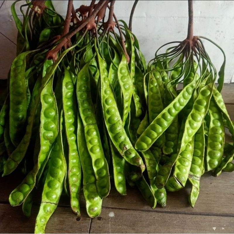 

PETAI SAYUR/LALAPAN PER PAPAN/PCS
