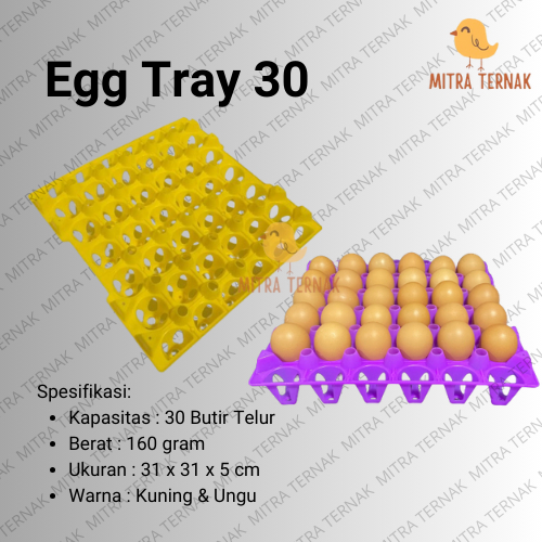 Egg Tray 30 / Tempat Telur Plastik / Tempat Telur Ayam Layer / Wadah Telur Ayam / Rak Telur / Rak Su