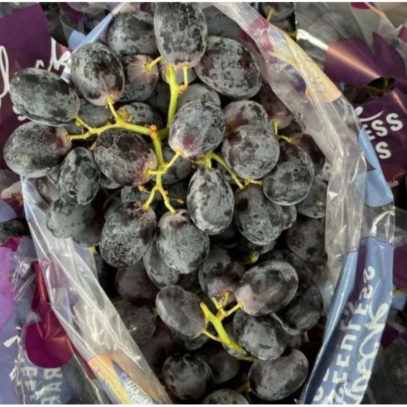 

Anggur hitam import , berat 500 gram (pengiriman dr Medan)