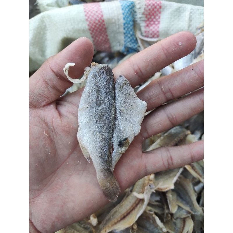 

Ikan Asin Gulamo / Peres