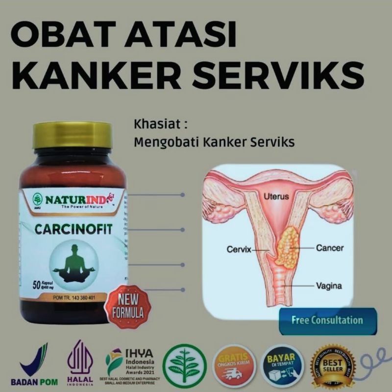 

KAPSUL HERBAL CARCINOFIT sudah BPOM. Manfaat dan Khasiatnya obat CARCINOFIT : 1. Menghambat pertumbuhan sel kanker 2. Mengurangi nyeri dan bengkak 3. Meredakan tumor secara alami 4. Meningkatkan daya tahan tubuh.