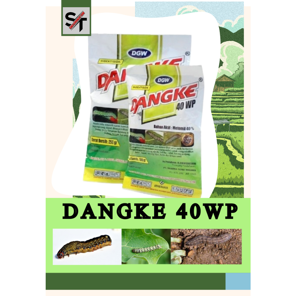 INSEKTISIDA DANGKE 40WP