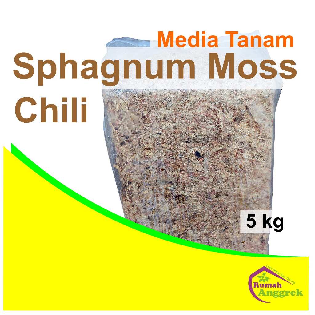 Media Sphagnum Moss Chili 5 kg spagnum spaghnum putih lumut tanam anggrek dendrobium seedling rumah 