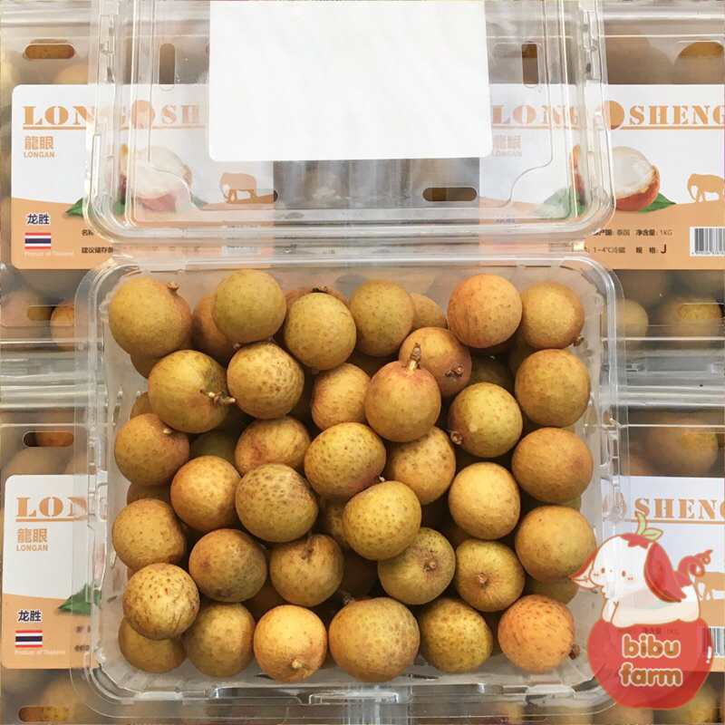 

Kelengkeng Golden Import Thailand Longsheng Berat 1 Kilogram/Pack