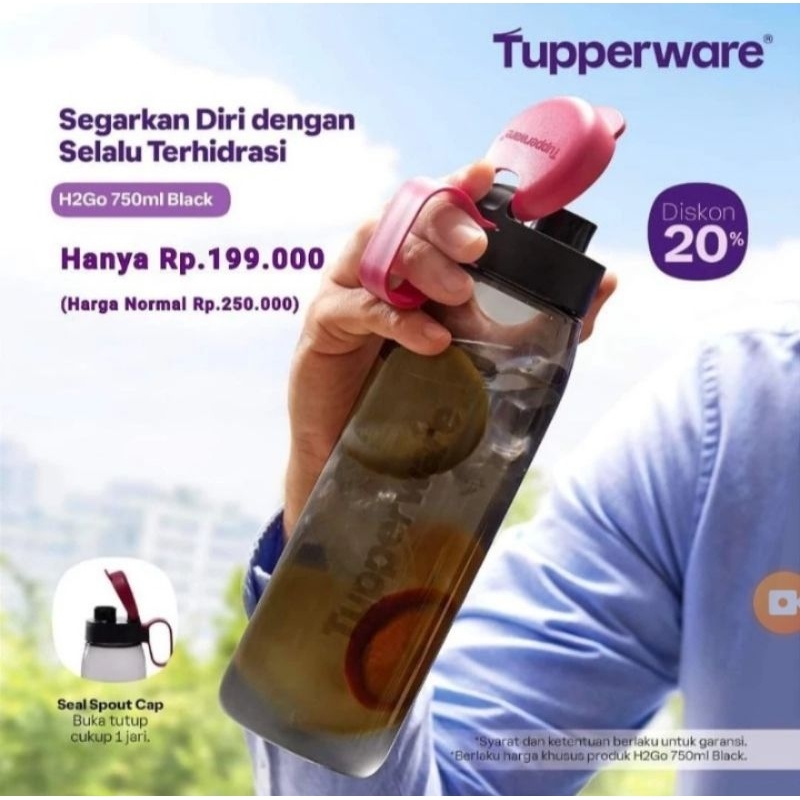 H2Go 750/Eco botol straw 750ml/Chic flask 500ml