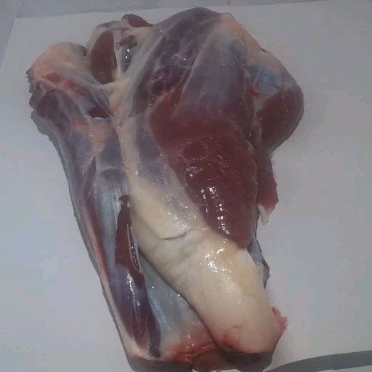 

Sengkel Sapi Fresh Kembang (Shank)