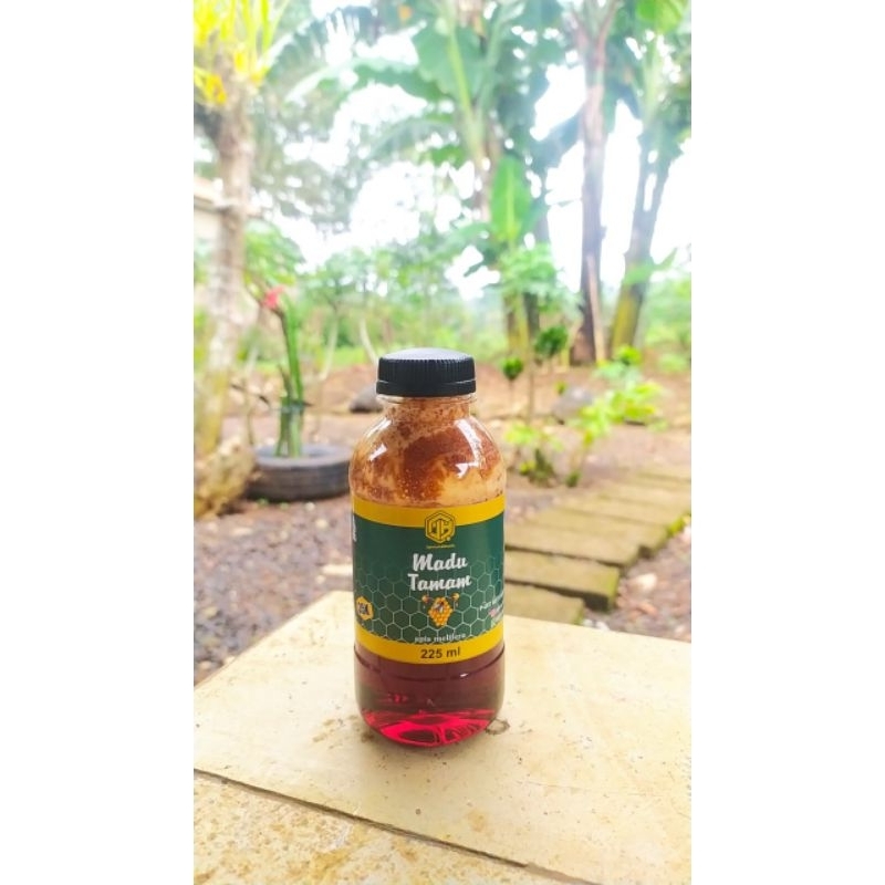 

Madu Tamam ( apis melifera )