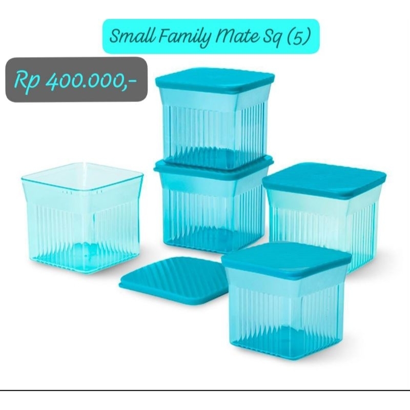 tupperware Small family mate 510ml