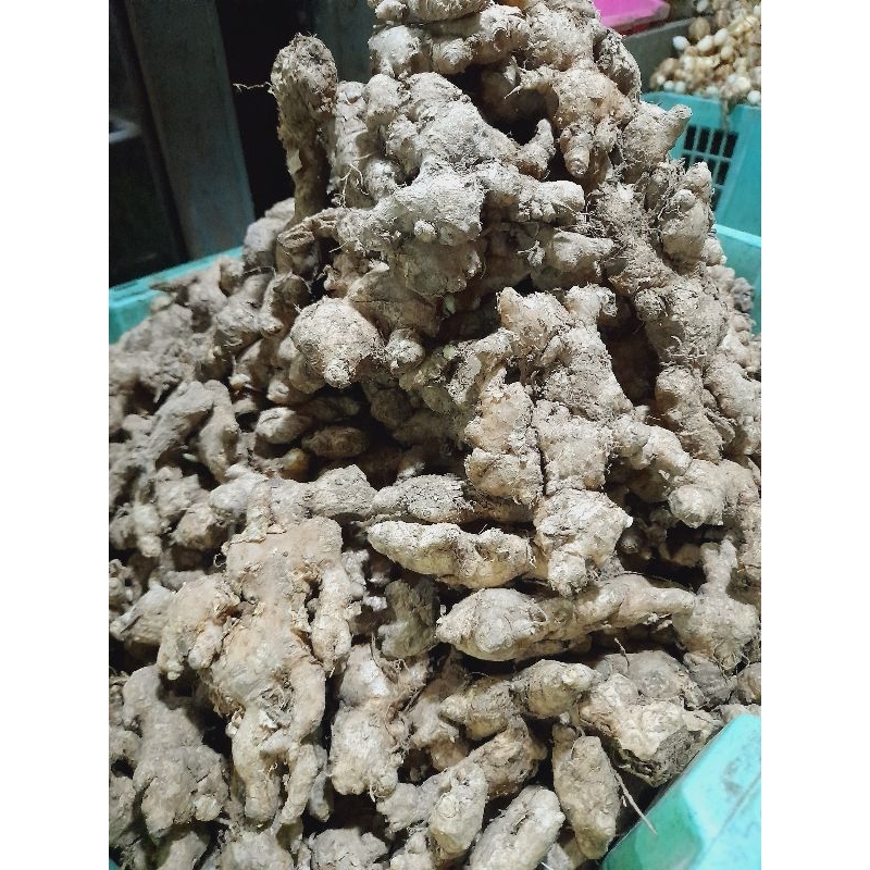 

Jahe Emprit/Jahe Imprit 1 kg