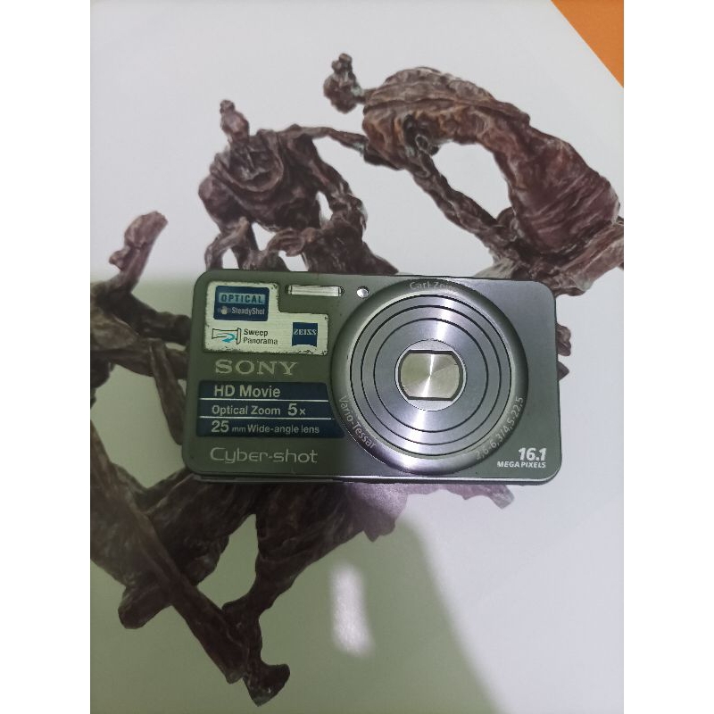 Sony DSC-W570