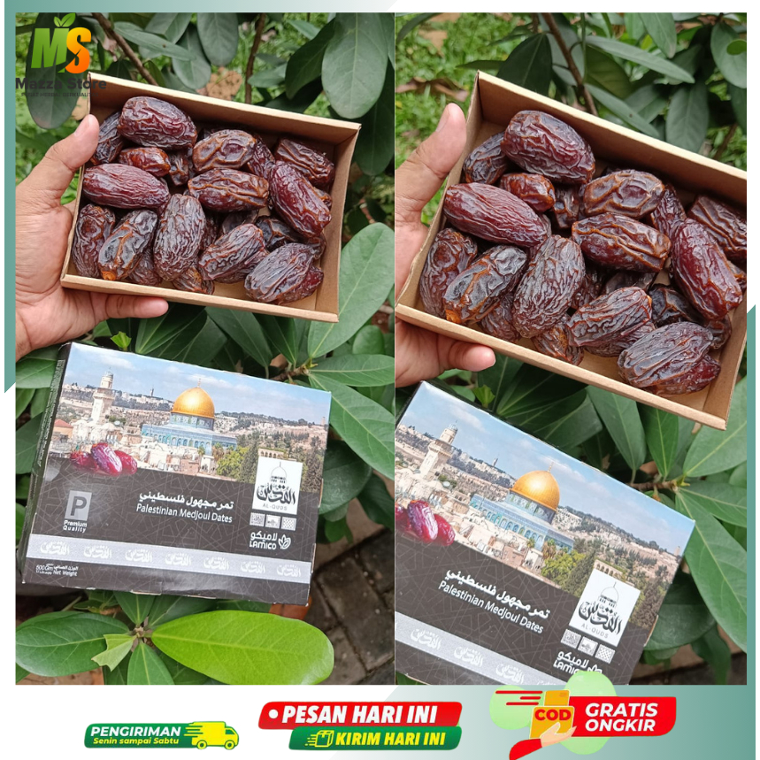 

Medjool Kurma Asli Palestina 500gr Segar Lembut
