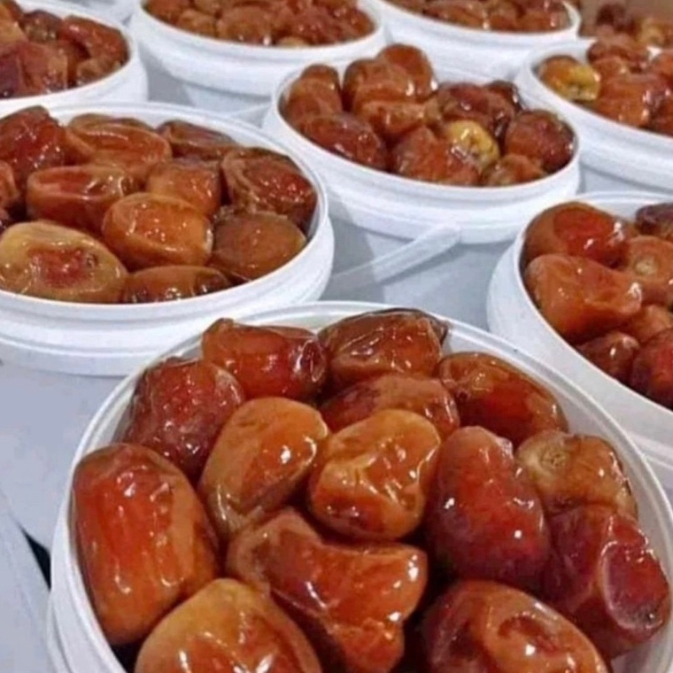 

AXV115 Kurma Sukari Ember 75 Gr Premium ALKARRAMAH Kurma Raja Kurma Sukari AlQasim Kurma Sukari AlQosim Original Produk ALKARRAMAH