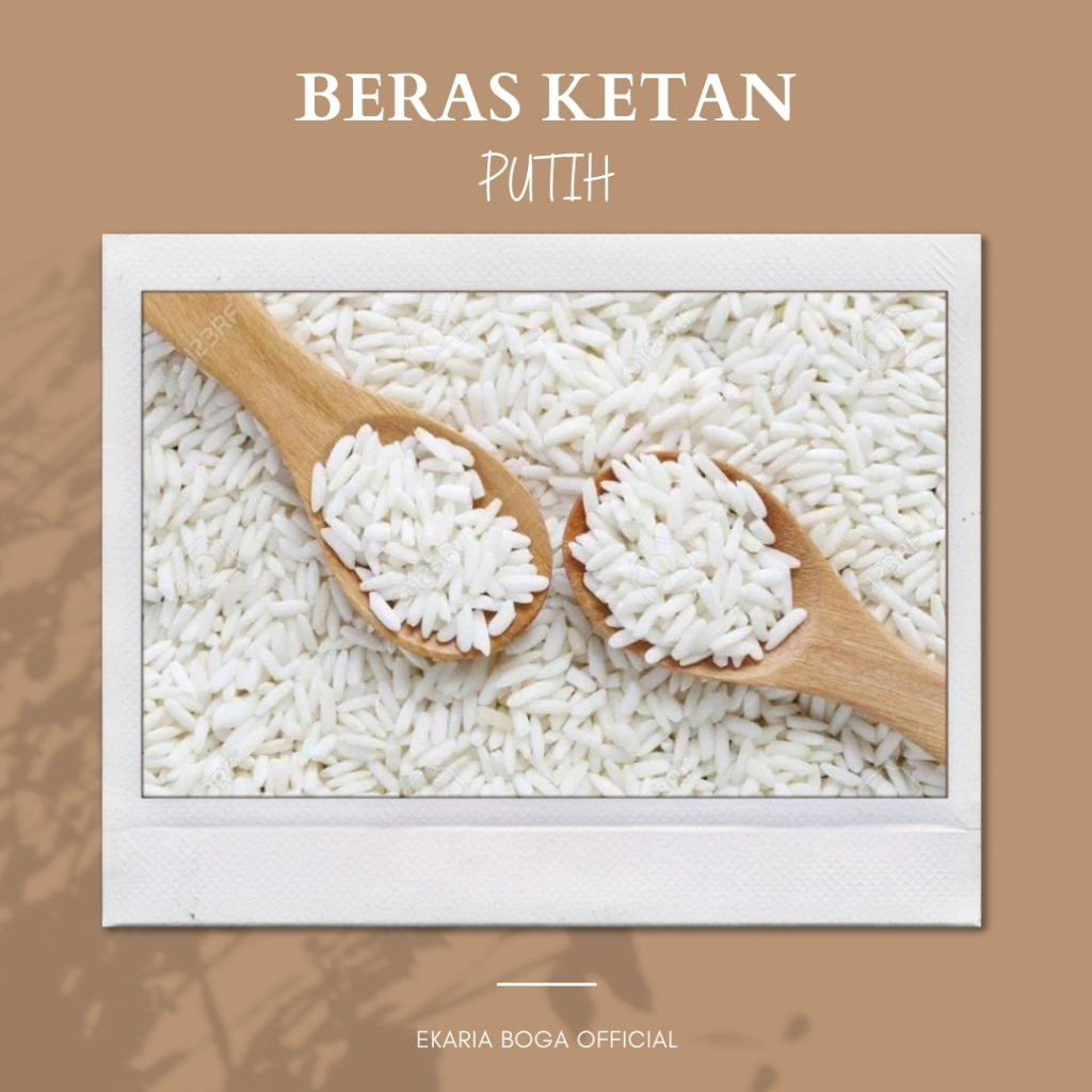 

BERAS | BERAS KETAN | KETAN PUTIH | BERAS KETAN PUTIH 500GR