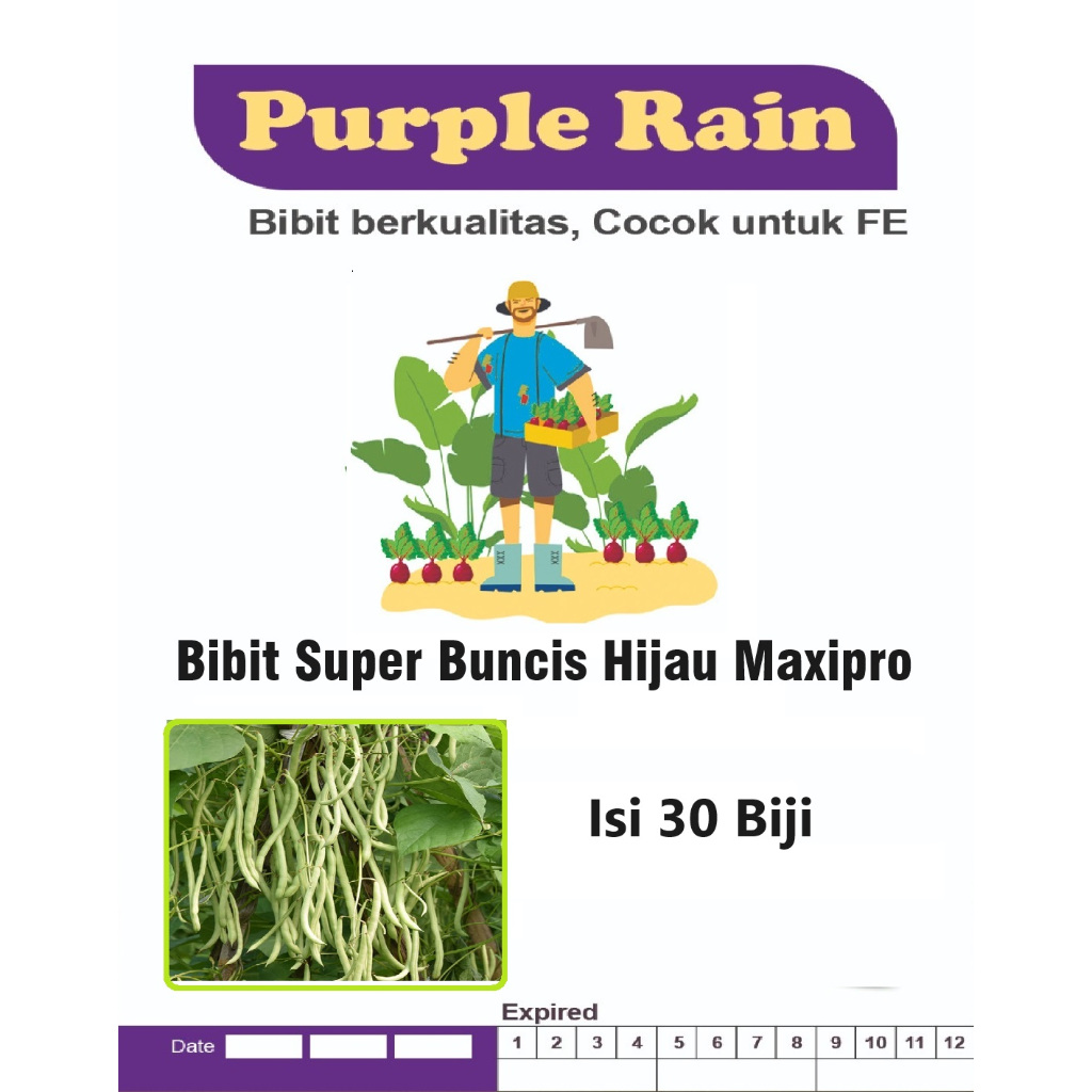Bibit Super Buncis Hijau Maxipro | Biji Benih Buncis Hijau Maxipro