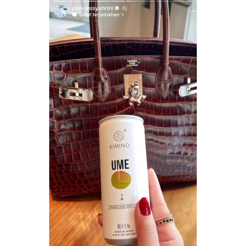 Hrmes 1998 1993 66081 Pegase Pegasus Horse Elephant Gajah Syahrini Branded Mewah Luxury Motif Cadena