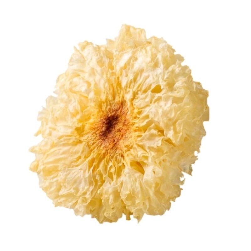 

jamur all varian jamur tiram/jamur kuping kering/jamur putih kering