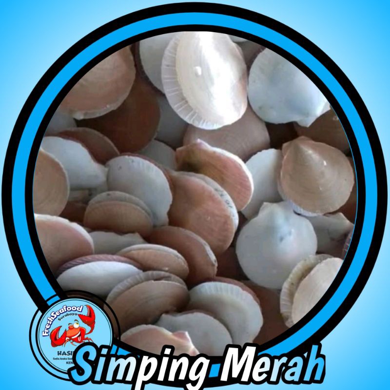 kerang simping merah putih 1kg