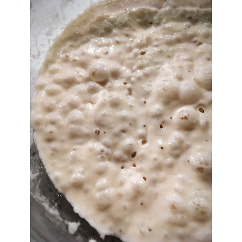 

Sourdough Active Starter Aktif Ragi Alami Siap Pakai Dried starter Liquid starter Bread Natural Yeast Untuk Roti Sehat