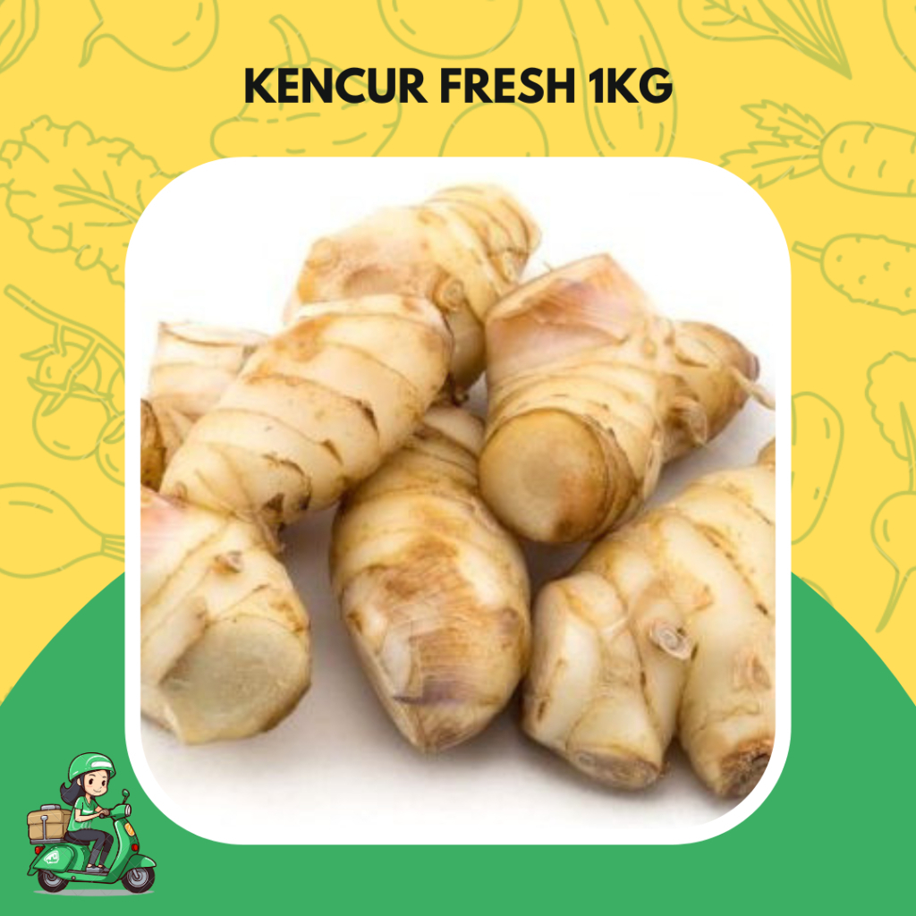 

kencur fresh 1 kg segar