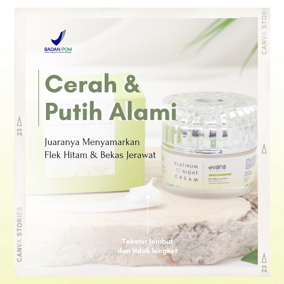 Best Seller Evana Beauty Care  Wajib Konsul Night Cream Platinum  Cream Penghilang Flek Hitam Dalam 